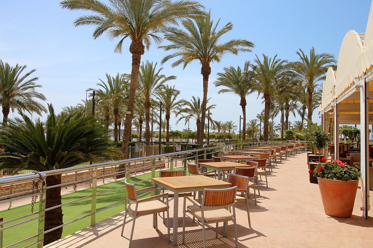 007_alta_senatoráguilas Terraza.JPG